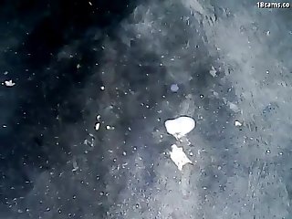 Cute desi indian teen helps her not sister to orgasm